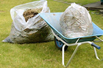 荒れた庭の草刈り・除草 アフター